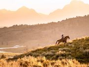 How Wyoming increased traveler interest ninefold through a TV campaign